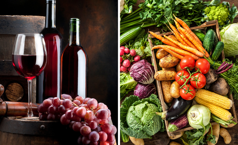 produtos de origem vegetal