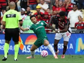 Palmeiras x Flamengo: onde assistir, escalações e tudo sobre a final da Libertadores 2025. Imagem: Cesar Greco/Ag. Palmeiras