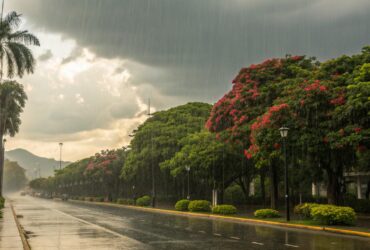 Lucas do Rio Verde tem dia nublado e chance de chuva nesta segunda-feira