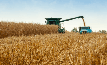 Recursos das Cédulas de Produto Rural crescem 31% entre julho e outubro de 2025
