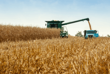 Recursos das Cédulas de Produto Rural crescem 31% entre julho e outubro de 2025