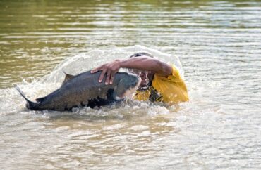 Especialistas apontam aquicultura como pilar da bioeconomia e combate à crise climática