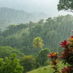 Tangará da Serra tem quinta-feira nublada e 50% de chance de chuva