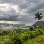 Previsão do tempo em Tangará da Serra