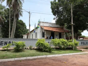 Colônia Agrícola de Palmeiras pode se transformar em polo produtor de alimentos e modelo de ressocialização