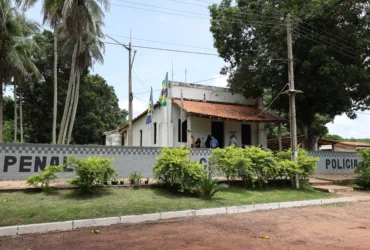 Colônia Agrícola de Palmeiras pode se transformar em polo produtor de alimentos e modelo de ressocialização