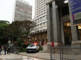 Mulher é presa por suspeita de participação em roubo de gravuras em sp