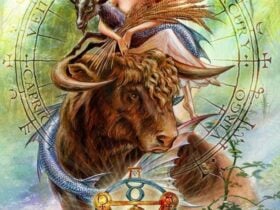 1dea4e106a958970350e991547cb7a