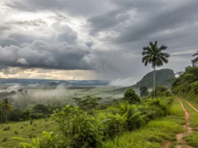 Alta Floresta tem dia de calor neste sábado