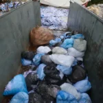 Resíduos têm alta em 2024 e avanço na destinação adequada