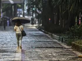 Verão deve ter chuvas acima da média em regiões do Brasil