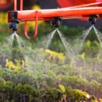 Especialista fala sobre uso responsável do glifosato e alerta para cuidados no manejo