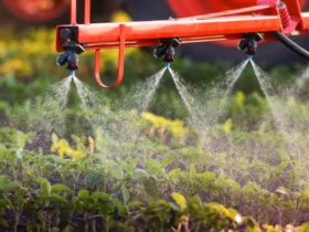 Especialista fala sobre uso responsável do glifosato e alerta para cuidados no manejo