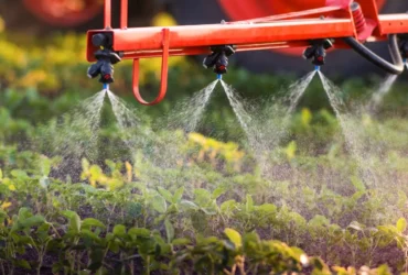 Especialista fala sobre uso responsável do glifosato e alerta para cuidados no manejo