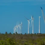 Oceano impulsiona centro brasileiro dedicado a energia renovável offshore