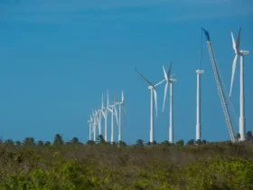 Oceano impulsiona centro brasileiro dedicado a energia renovável offshore
