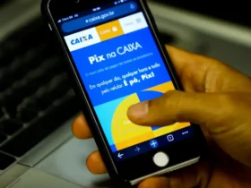 Pix registra novo recorde com mais de 313 milhões de transações em um único dia