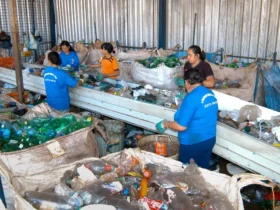 Plásticos não recicláveis geram perdas e sobrecarga a catadores no rio