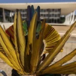 Marco volta ao centro do debate no STF em novo julgamento