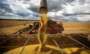 Produção de grãos do Brasil na safra 2025/26 cresce e deve alcançar 354,4 milhões de toneladas