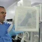 Wolbachia impulsiona reconhecimento de pesquisador brasileiro pela Nature