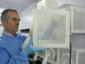 Wolbachia impulsiona reconhecimento de pesquisador brasileiro pela Nature