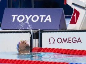 Paralímpico celebra destaques da natação em premiação nacional