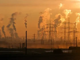 Clima estável impulsiona prevenção de mortes e ganhos globais, aponta relatório da ONU