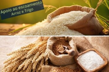 Leilões de apoio ao escoamento de arroz e trigo são marcados para o dia 22