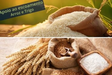 Leilões de apoio ao escoamento de arroz e trigo são marcados para o dia 22