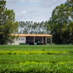 Especial 10 anos: CTECNO Parecis contribui com o aumento da produção agrícola através de estudos de campo