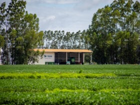 Especial 10 anos: CTECNO Parecis contribui com o aumento da produção agrícola através de estudos de campo