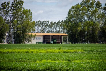 Especial 10 anos: CTECNO Parecis contribui com o aumento da produção agrícola através de estudos de campo