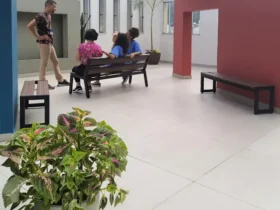 Profissionais do SUS serão capacitados em cuidados paliativos a partir de 2026