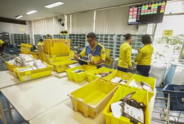 Correios devem receber aporte menor que o previsto, diz Haddad
