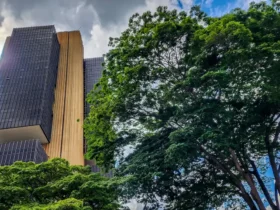 Protege ganha destaque ao bloquear abertura de contas falsas