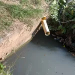 Quilombo de cabo frio denuncia despejo irregular de esgoto