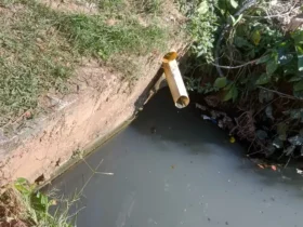 Quilombo de cabo frio denuncia despejo irregular de esgoto