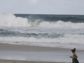 Consciência sobre o oceano avança em regiões com projetos de longa duração
