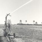 A contribuição dos 50 anos de ciência para transformação da agricultura irrigada no Cerrado