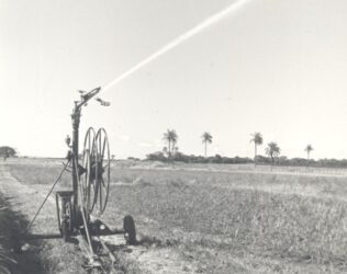 A contribuição dos 50 anos de ciência para transformação da agricultura irrigada no Cerrado