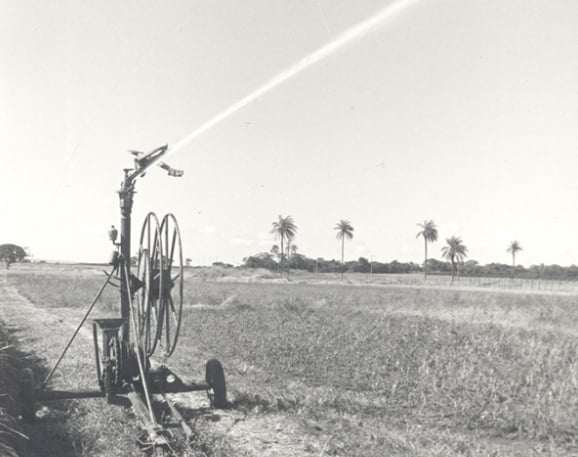 A contribuição dos 50 anos de ciência para transformação da agricultura irrigada no Cerrado