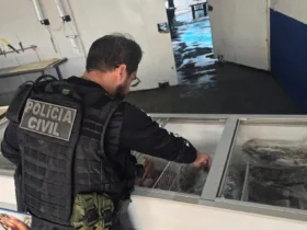 Apreensão de pescado irregular supera 2 t em Cuiabá