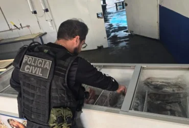 Apreensão de pescado irregular supera 2 t em Cuiabá