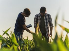 AgriHub Conecta 2026 conclui levantamento de desafios com mais de mil produtores rurais ouvidos em Mato Grosso