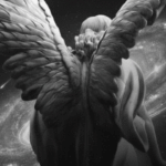 Anjo da guarda e a mensagem do dia