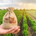 Aprosoja MT critica MP de crédito rural e diz que mudanças são "inefetivas" para a realidade do produtor mato-grossense