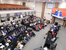 Assembleia concede honrarias por atuação social em MT