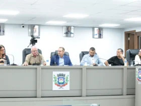 Audiências avaliam Energisa e relatório segue ao governo