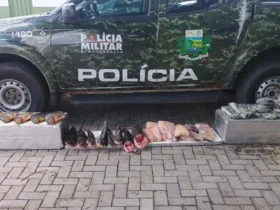 PM apreende 52 kg de pescado irregular em Várzea Grande